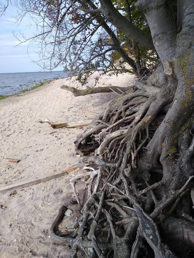 Vila Ustronie Lesne 2 Wisełka Exteriér fotografie